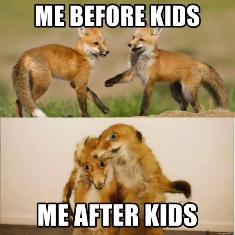 OVAKO IZGLEDA ŽIVOT PRIJE I NAKON KLINACA: Surova realnost prikazana kroz urnebesne memove