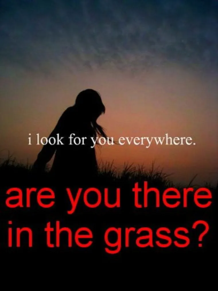 Tražim te posvuda. JESI LI OVDJE U TRAVI?