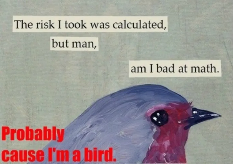 Rizik koji sam uzeo bio je proračunat, ali čovječe, lo&scaron; sam u matematici. VJEROJATNO ZATO &Scaron;TO SAM PTICA.