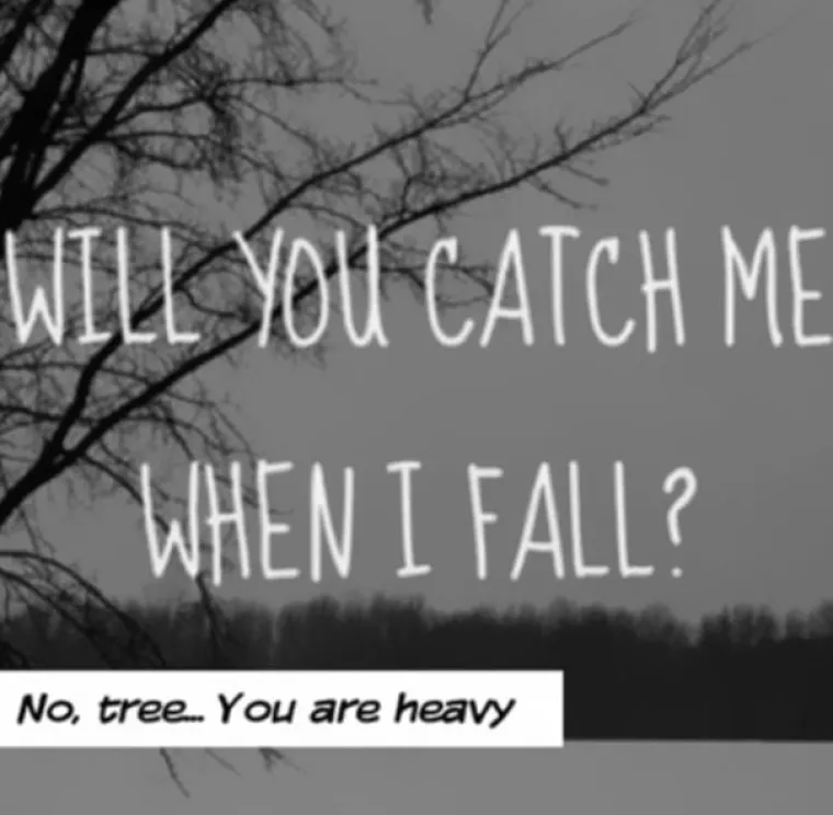 Hoće&scaron; li me uhvatiti kada padnem? NE, DRVO, PRETE&Scaron;KO SI.