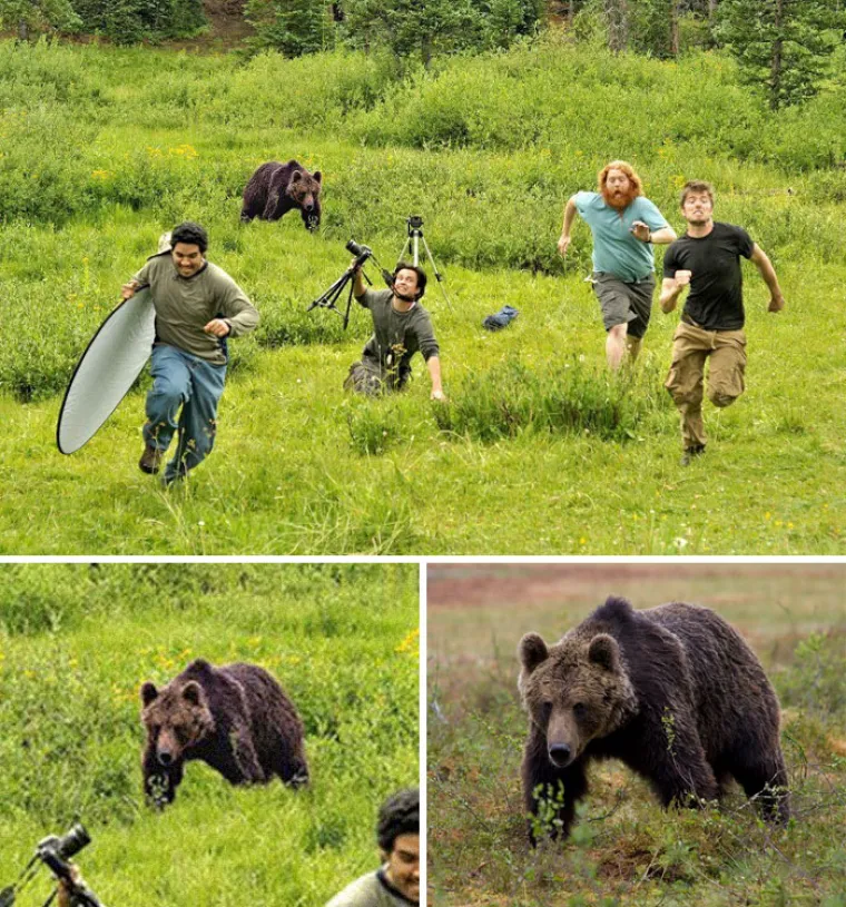 Medvjed koji naganja fotografe National Geographica također je bio viralni hit, ali idaleko je od istine. Bez brige, ne bi se oni smijali dok bježe.
