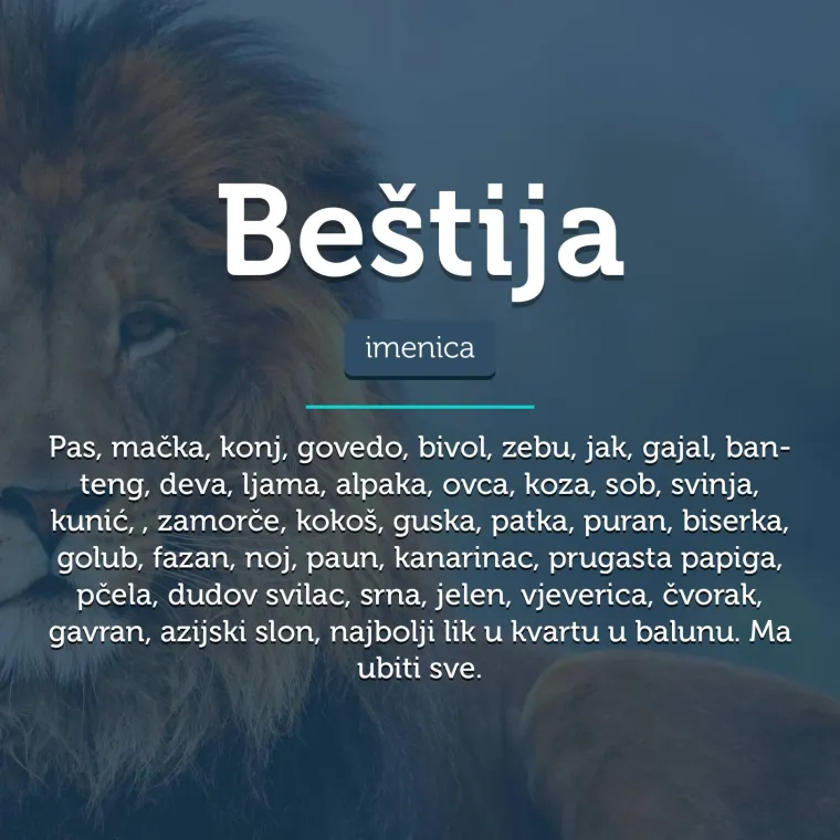 'Iz di&scaron;peta nejden u program': 30 riči iz džepnog rječnika dalmatinskog dijalekta