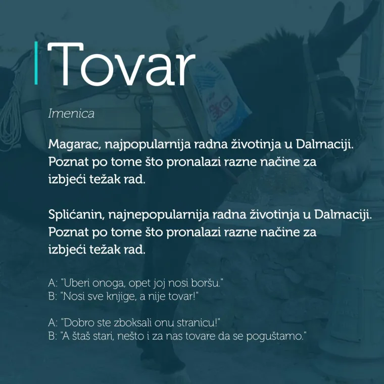 'Iz di&scaron;peta nejden u program': 30 riči iz džepnog rječnika dalmatinskog dijalekta