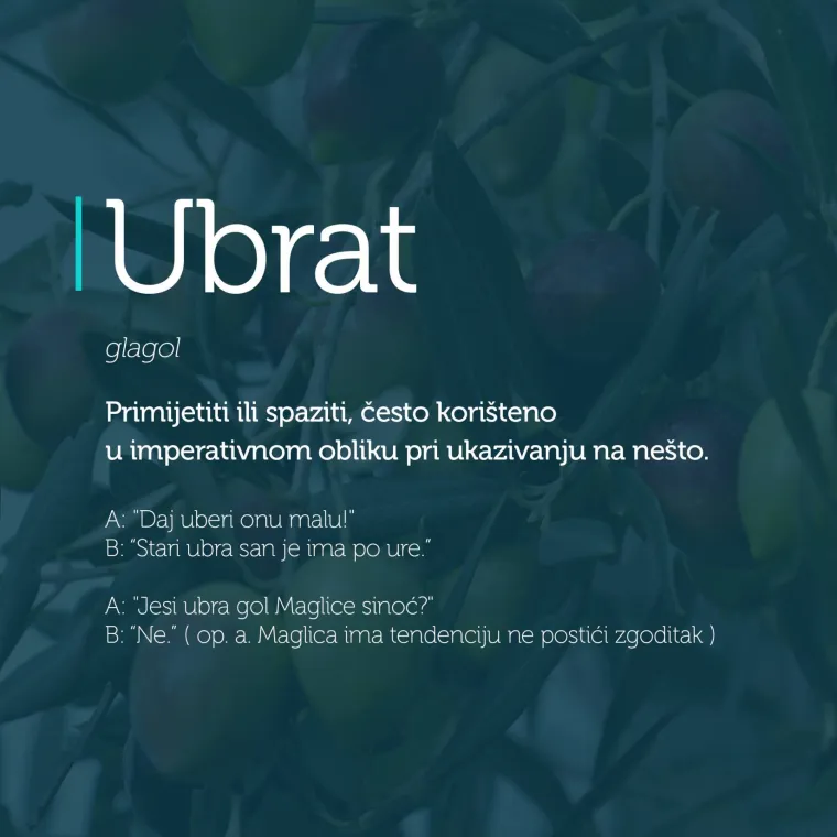 'Iz di&scaron;peta nejden u program': 30 riči iz džepnog rječnika dalmatinskog dijalekta