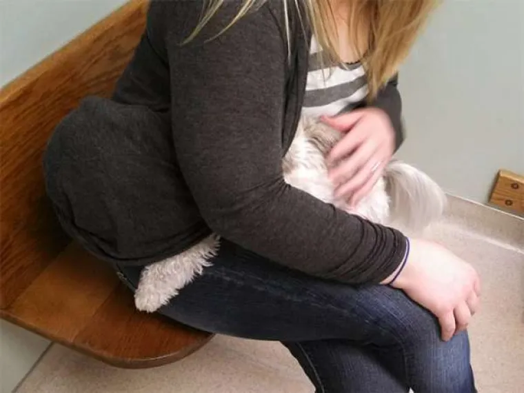 Urnebesne reakcije kućnih ljubimaca kada su shvatili da idu veterinaru