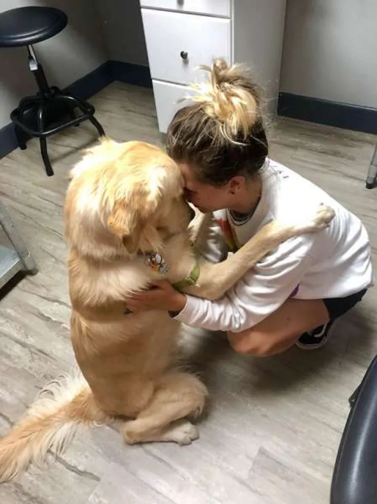 Urnebesne reakcije kućnih ljubimaca kada su shvatili da idu veterinaru