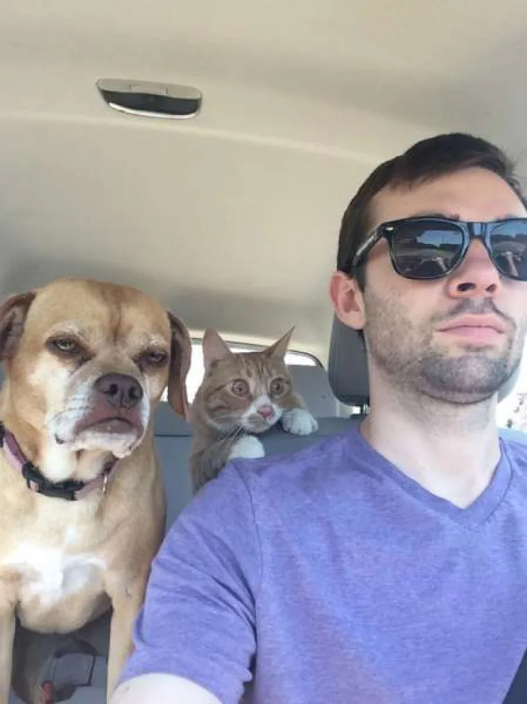 Urnebesne reakcije kućnih ljubimaca kada su shvatili da idu veterinaru