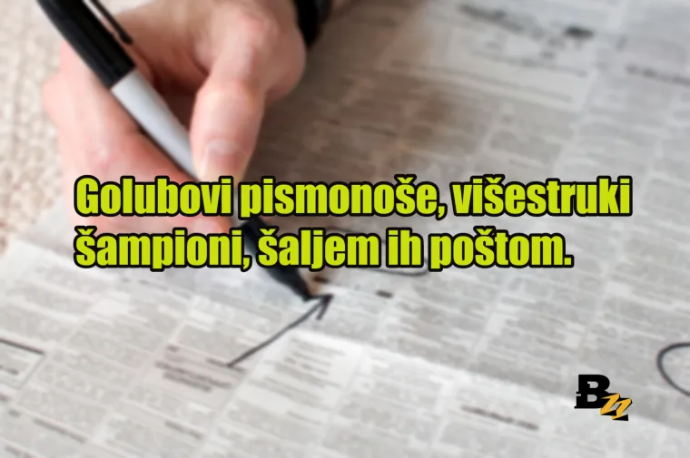 'Mijenjam cimera koji hrče za cimericu koja stenje': 20 najluđih oglasa koje smo ikada vidjeli