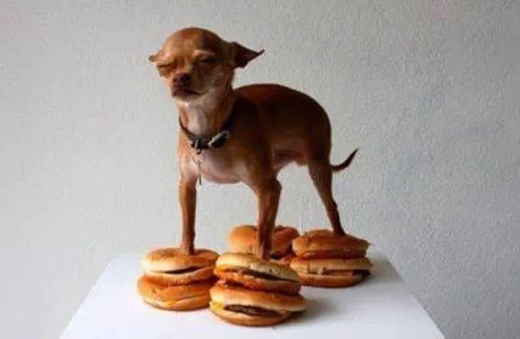 Nije za one sa že&scaron;ćim OKP-om: 25 stvari koje nisu na mjestima na kojima bi trebale biti