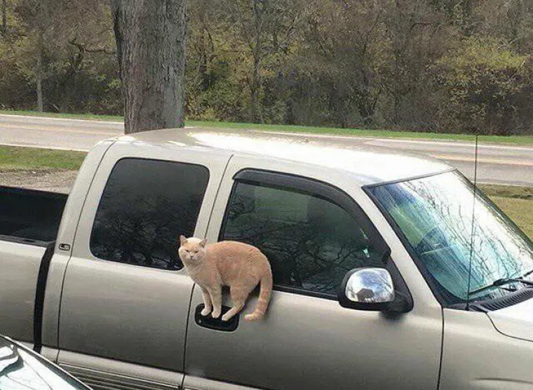 Nije za one sa že&scaron;ćim OKP-om: 25 stvari koje nisu na mjestima na kojima bi trebale biti