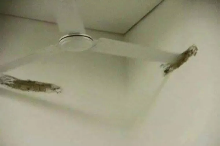 Nije za one sa že&scaron;ćim OKP-om: 25 stvari koje nisu na mjestima na kojima bi trebale biti