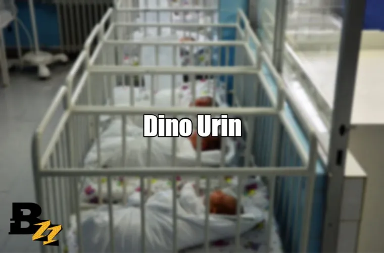 Guzi Draga, &Scaron;takor Tarzan i Bilal Nebi: TOP 30 najneobičnijih imena ljudi u Hrvatskoj