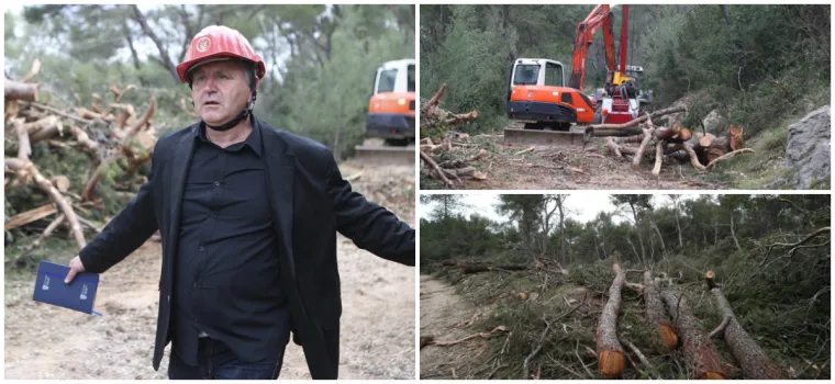 Režu oboljela stabla! Pogledajte kako izgleda 'ogoljeli' Marjan