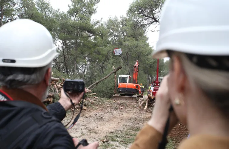 Režu oboljela stabla! Pogledajte kako izgleda 'ogoljeli' Marjan