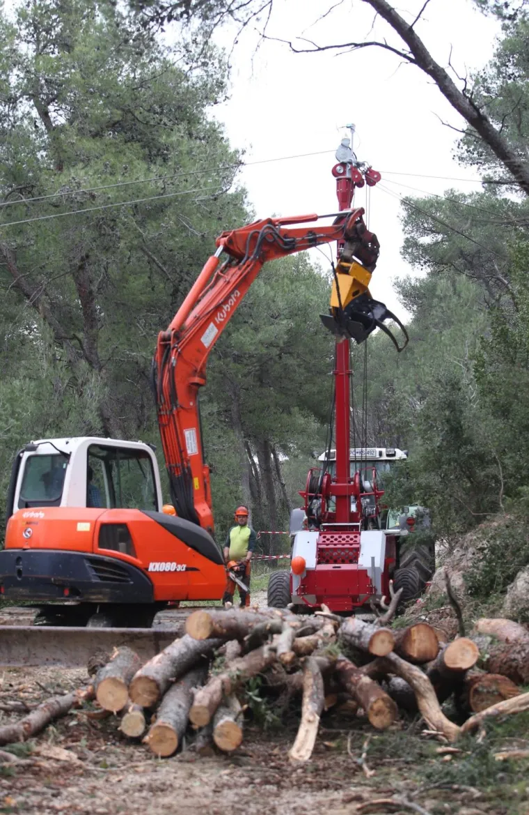 Režu oboljela stabla! Pogledajte kako izgleda 'ogoljeli' Marjan