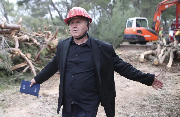 Režu oboljela stabla! Pogledajte kako izgleda 'ogoljeli' Marjan