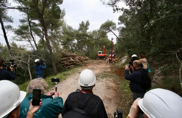 Režu oboljela stabla! Pogledajte kako izgleda 'ogoljeli' Marjan