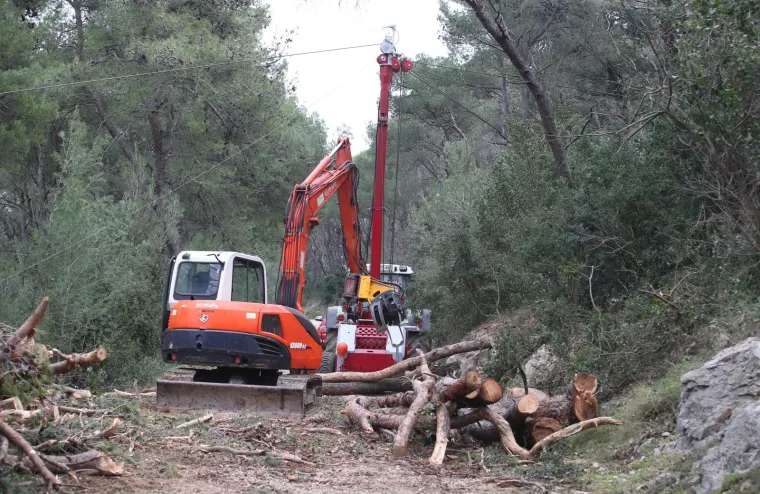 Režu oboljela stabla! Pogledajte kako izgleda 'ogoljeli' Marjan