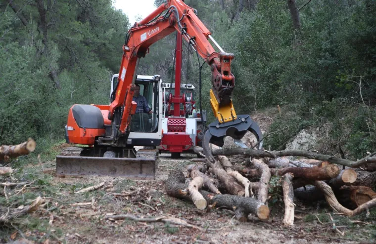 Režu oboljela stabla! Pogledajte kako izgleda 'ogoljeli' Marjan