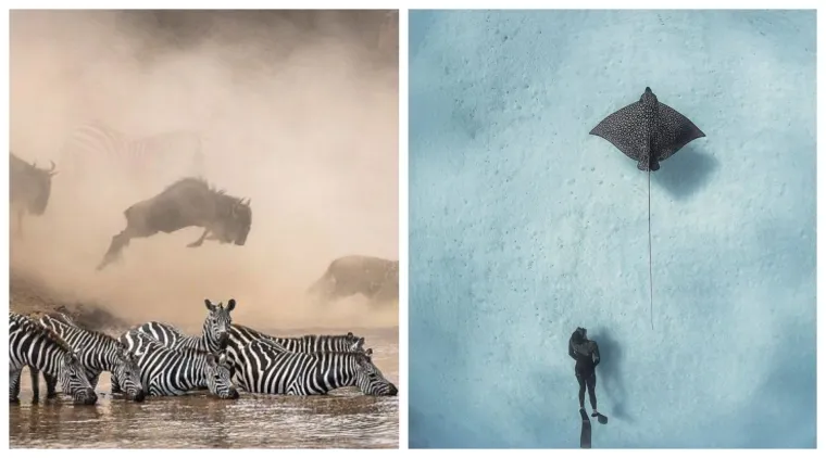 Ne možemo im se nadiviti: 5 najljep&scaron;ih fotografija National Geographica