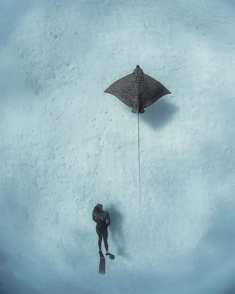 Ne možemo im se nadiviti: 5 najljep&scaron;ih fotografija National Geographica