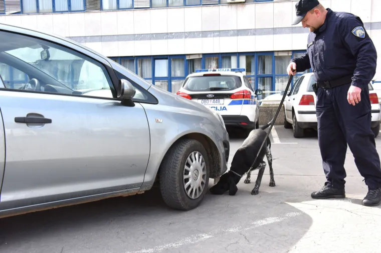 Najbolja njuška Hrvatske: Super njuhom švercere droge tjera u očaj!
