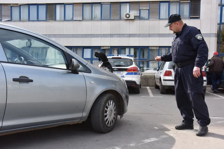 Najbolja nju&scaron;ka Hrvatske: Super njuhom &scaron;vercere droge tjera u očaj!