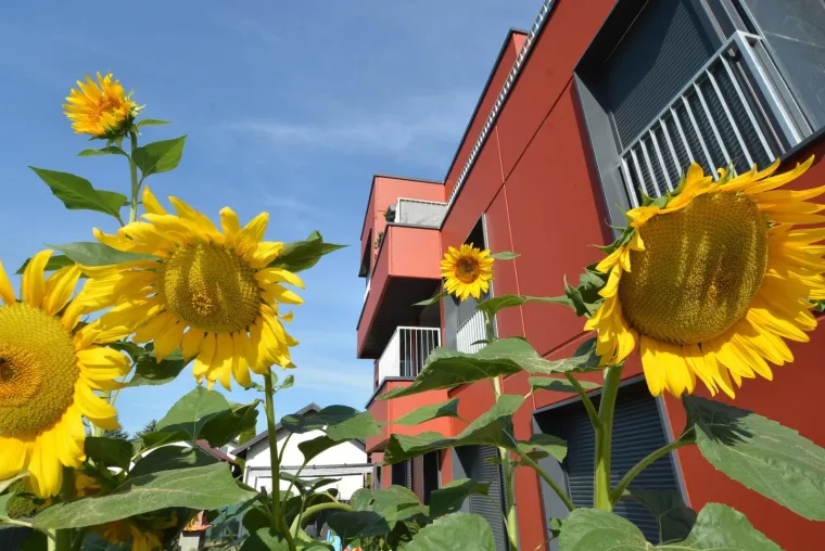 Cijene stanova u Zagrebu 'lete' u nebo! No, na pola sata vožnje od metropole su znatno jeftiniji, pogledajte koliko