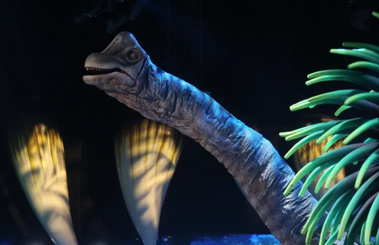 Edukativna zabava u Areni