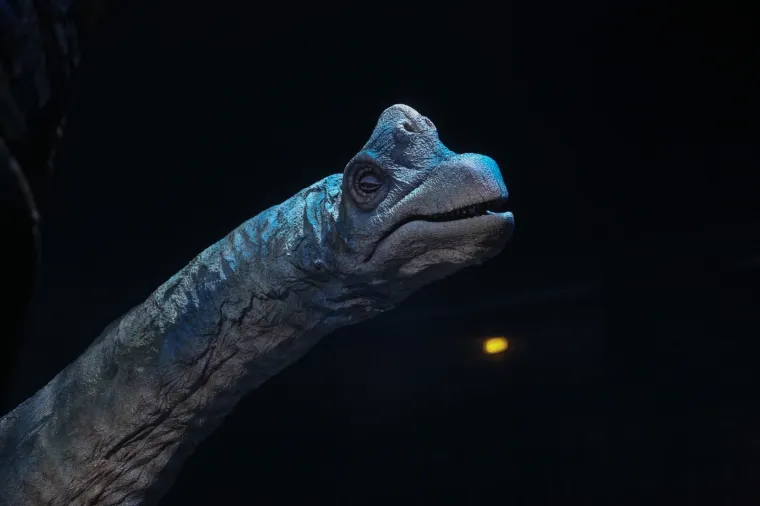 Edukativna zabava u Areni