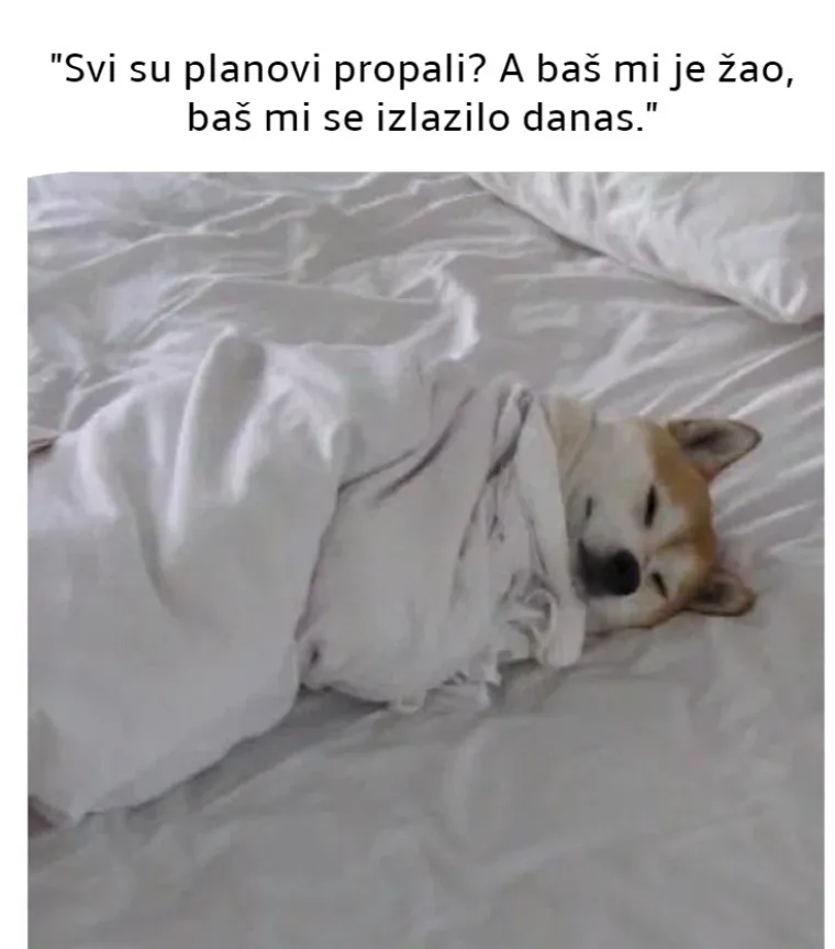 'Ne spavam, samo odmaram oči': 20 najjačih mema za one koji obožavaju spavati