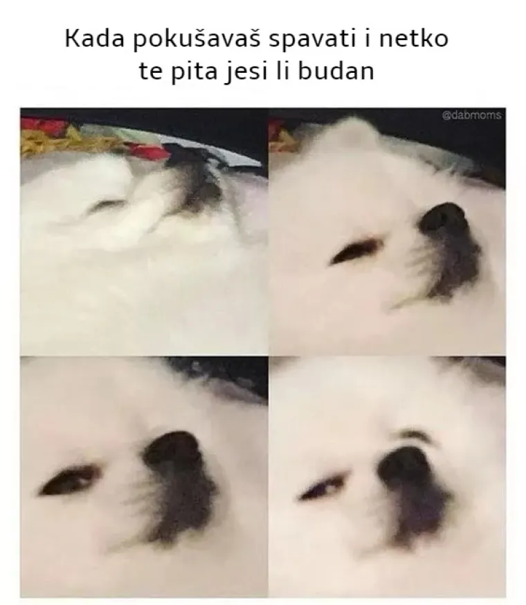 'Ne spavam, samo odmaram oči': 20 najjačih mema za one koji obožavaju spavati