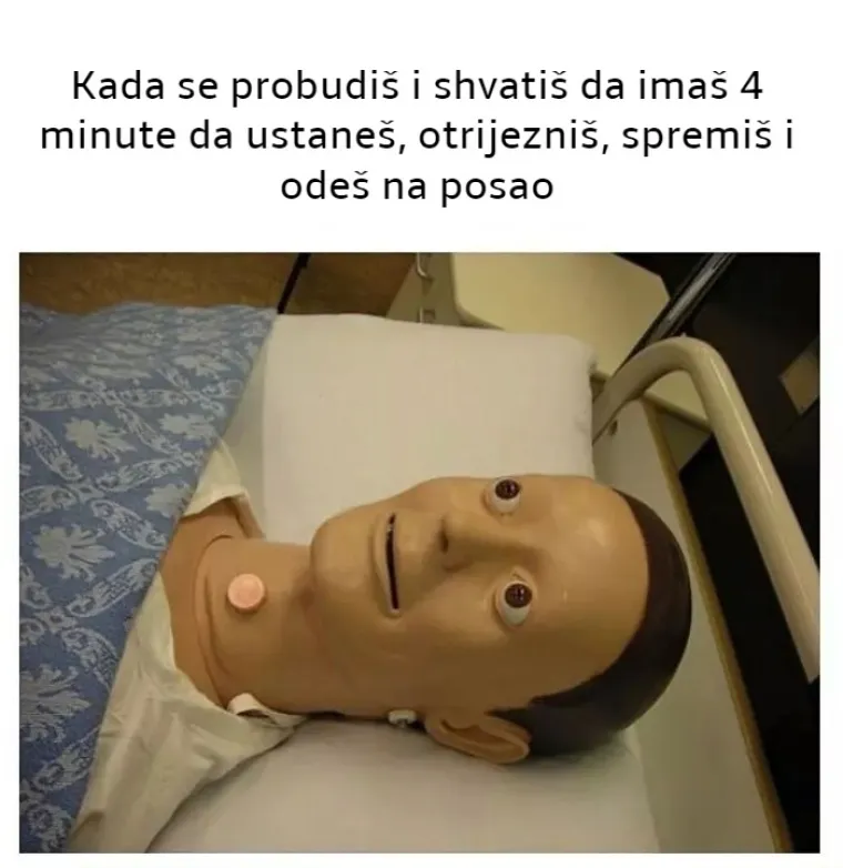 20 mema koje savr&scaron;eno opisuju kako se nekada osjećamo na poslu