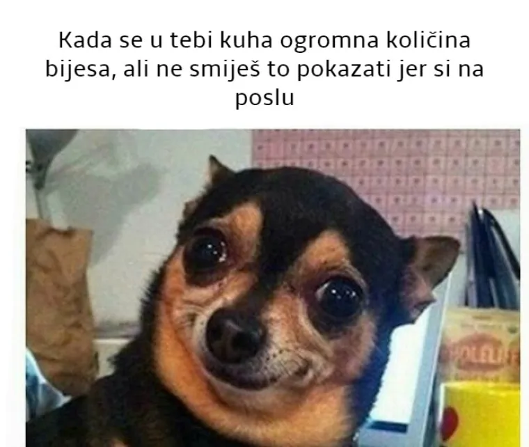 20 mema koje savr&scaron;eno opisuju kako se nekada osjećamo na poslu