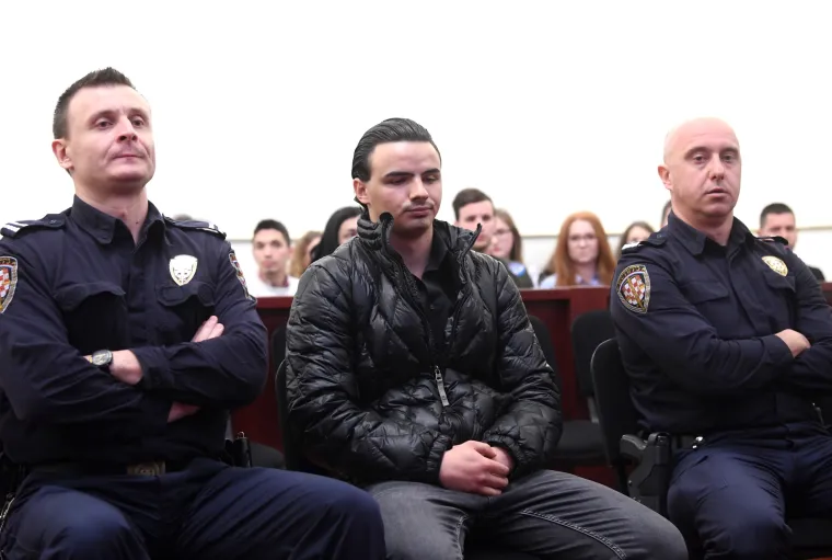 David Komšić kriv je za napad na Kristinu Krupljan, dobio godinu i pol zatvora