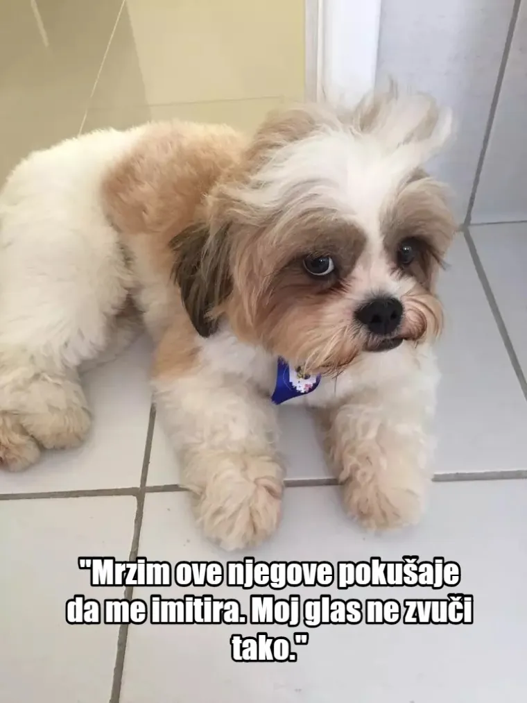 'Nema ih pet minuta, jesu li me ostavili?': 20 misli koje prolaze vašem psu kroz glavu