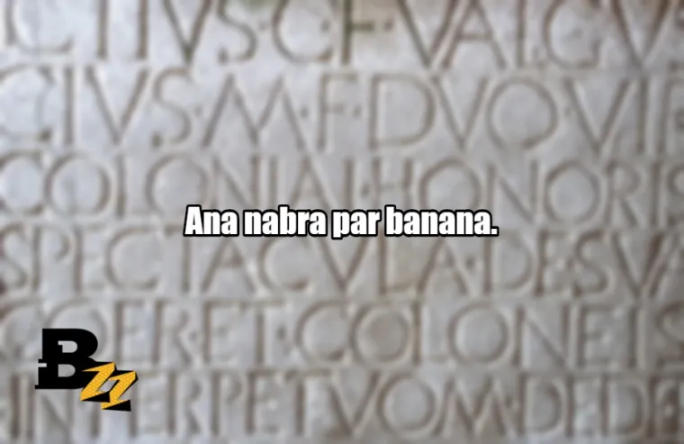 'E sine, ženi se!': 30 najjačih rečenica koje se čitaju isto unaprijed i unazad