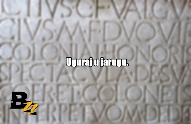 'E sine, ženi se!': 30 najjačih rečenica koje se čitaju isto unaprijed i unazad