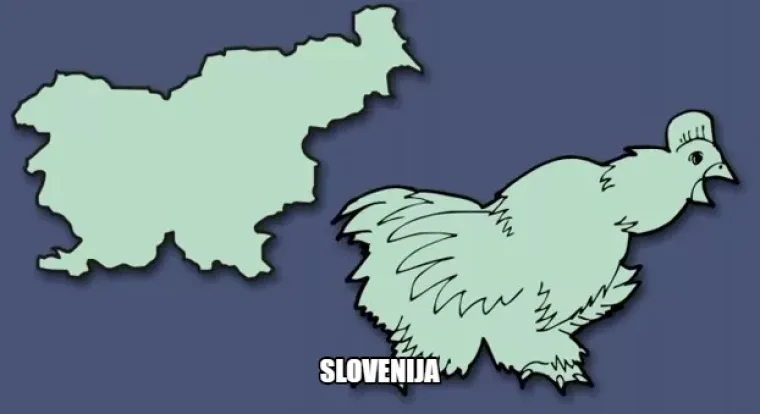 Spermiji, zmajevi i kondomi: 20 primjera kako kreativni ljudi vide oblike država