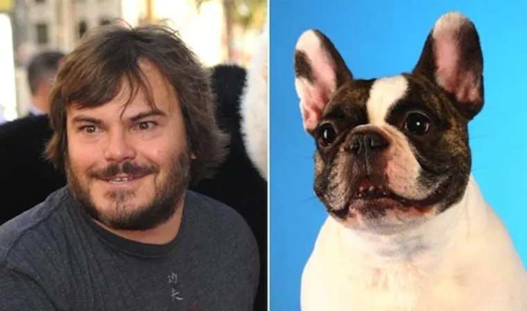 20 poznatih osoba i njihovih životinjskih dvojnika koji će vas natjerati da kažete 'BOGAMI ISTI'