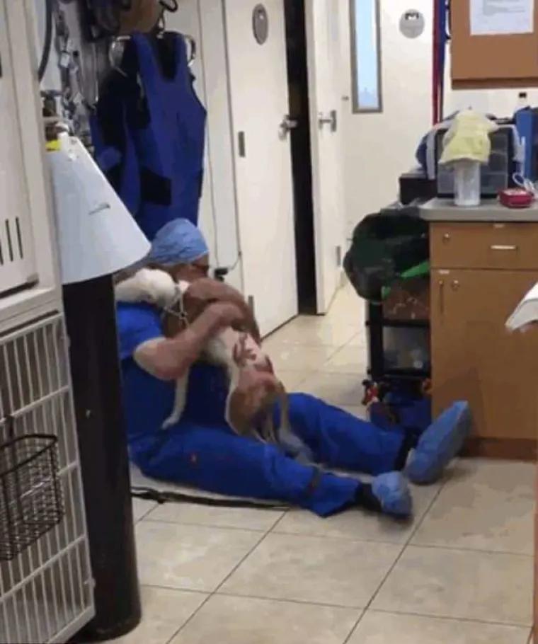 Pas kojemu je ovaj veterinar spasio život i zaliječio mu rane poletio mu je u zagrljaj.