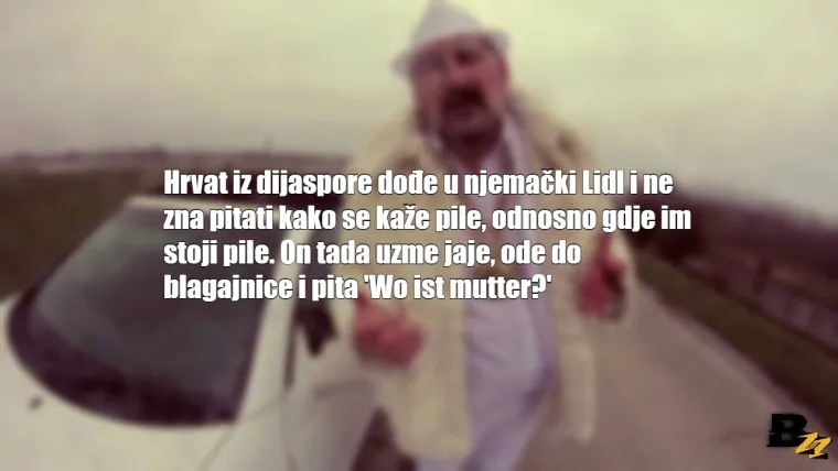Hrvat iz dijaspore može kupiti sve, ali padeži su izgleda preskupi: 20 stereotipa o na&scaron;im ljudima u bijelom svijetu