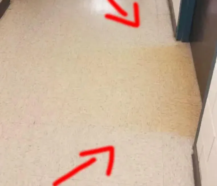 Ove fotografije izazivaju gađenje: Evo kako izgledaju stanovi nakon &scaron;to pu&scaron;ači isele iz njih