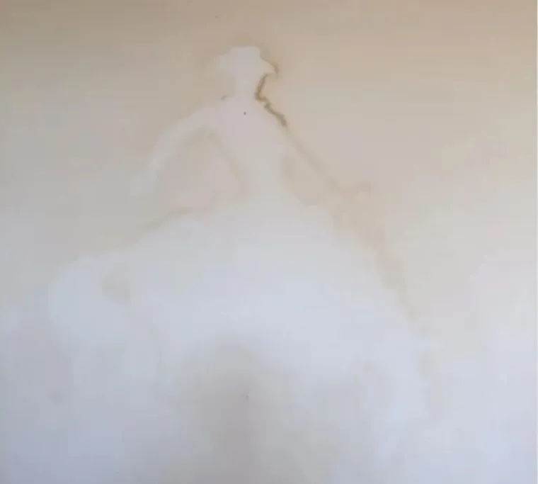 Ove fotografije izazivaju gađenje: Evo kako izgledaju stanovi nakon &scaron;to pu&scaron;ači isele iz njih