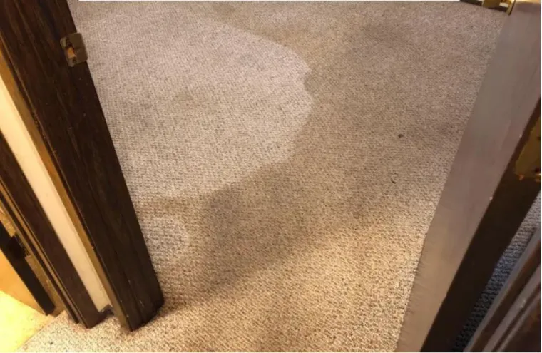 Ove fotografije izazivaju gađenje: Evo kako izgledaju stanovi nakon &scaron;to pu&scaron;ači isele iz njih