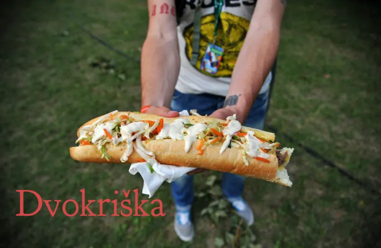 Daroteka, osjećajnik, udna tuljica, brzogriz... Imate li ideje &scaron;to znače nove hrvatske riječi?