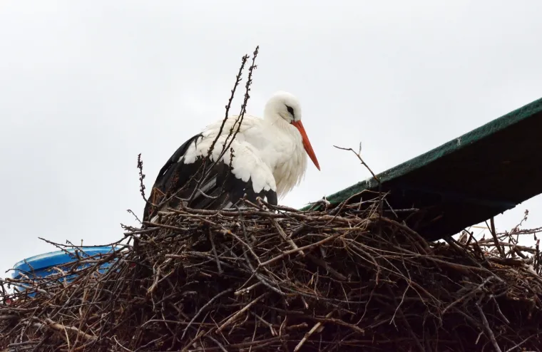PREDIVNE FOTOGRAFIJE SUSRETA KLEPETANA I MALENE: Do&scaron;ao je ranije kako bi bio sa svojom voljenom