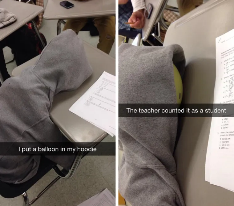 OPIČENI STUDENTI I NJIHOVE LUDE IDEJE: I onda kažu da je studentski život težak... Profesori, preskočite ovu galeriju!