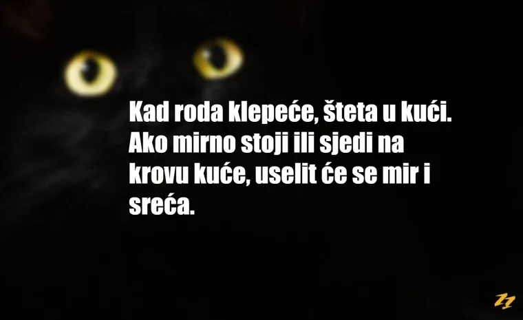 Kad pomogne&scaron; kukcu koji se izvrnuo na leđa, okajao si sedam smrtnih grijeha: 35 najbizarnijih hrvatskih praznovjerja