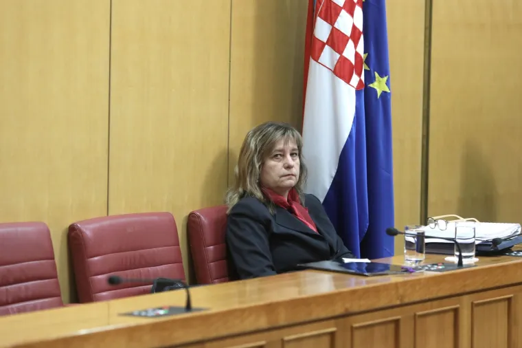 I sad neka netko kaže da ne rade: Pogledajte koji su zastupnici radili cijelu noć, a za jedno su na&scaron;li vremena